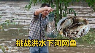 三哥挑戰洪水下河網魚，兩張網下兩小時，看看能得多少魚獲【農人家三嫂】