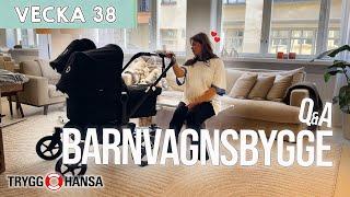 BARNVAGNSBYGGE & QnA - Zoe Brown & Oliver Ingrosso vecka 38