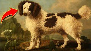 Extinct Dog Breeds That You Never Knew Existed