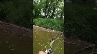 Had to creep in on this one #fishing#viral#archery