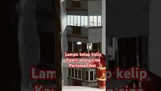 #fypviral #fypシ゚viral #shortvideo #shortvideos #lampu #kelapklip