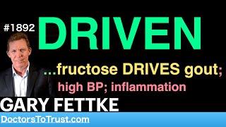 GARY FETTKE |  DRIVEN  …fructose DRIVES gout; high BP; inflammation