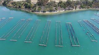 Carlsbad Aquafarm to close after nearly 70 years of shellfish farming