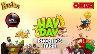 Hay Day Adventures Begin: Live with Phoenix; Day -154||#hayday#haydaygameplay #phoenix #playzone