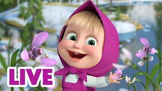  LIVE STREAM  Masha and the Bear  Who Doesn't Like Spring? 