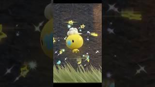 Shiny Drifloon in Pokemon Scarlet!