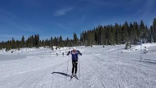 Cross-Country Ski Demos: Skate Skiing