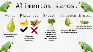 ALIMENTOS SANOS Y TÓXICOS PARA LOROS-HEALTHY AND TOXIC FOODS FOR PARROTS