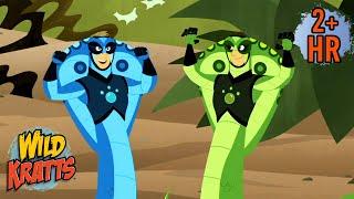 Activate Cobra Powers | Can Cobras Scare a Tiger? | Animals for Kids | Wild Kratts