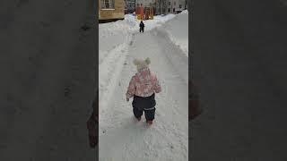 как я гуляю с двойней