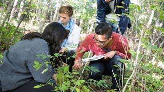 Biogeography and Conservation Biology Research at Rush Oak Openings