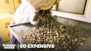 How Japan's Priciest Shiitake Mushrooms Fuel The $740 Million Global Shiitake Industry