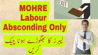 How to Check ONLY MOHRE Labour Absconding || Easy Smart Forms