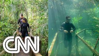 Trilha fica submersa por rio de águas cristalinas em MS; veja antes e depois | LIVE CNN