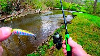 Don't leave home without this Lure / 3 Cast back to back Trout (River Fishing)