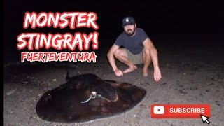 Sea Fishing | Fuerteventura, The Canaries | Catching a Monster Stingray