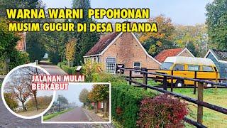 JALAN SORE DI HUTAN BELANDA MELIHAT SUASANA MUSIM GUGUR | SIANG HARI KABUT TEBAL DI BELANDA