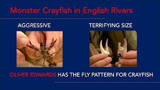 Sculpins and Crayfish: Fly Tying Tips with Oliver Edwards - Match the Hatch
