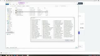 Sims 4 Updater Critical Error - How To Fix