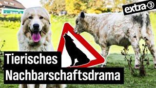 Realer Irrsinn: Hausarrest für Herdenschutzhunde in Windeck | extra 3 Spezial: Der reale Irrsinn | N