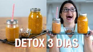 PROJETO DETOX DE 3 DIAS | Dieta de Desintoxicação com o Passo a Passo para o CARNAVAL