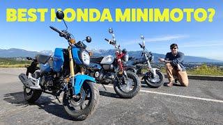 Which Honda MiniMoto Is The Best To Buy? Grom vs Monkey vs Dax 125!