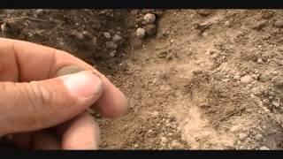 Relic Hunting Metal Detecting in Virginia with Wes-N-VA.wmv