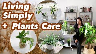 Living Simply In Dubai + Indoor Plants Care | Silent Vlog |  Seconds with Dolores