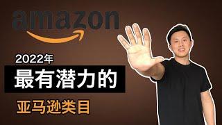 最有潜力的5个亚马逊类目以及如何找到金矿产品（2022年）