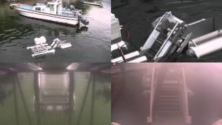 Conveyor-Type Jellyfish Removal Robot System for Venomous Jellyfish