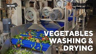 Vegetable washing and drying line | Primary processing