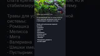 Травы для крепкого сна #медицина #здоровье #полезныесоветы