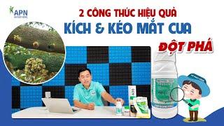 APN - 2 CÔNG THỨC KÍCH VÀ KÉO MẮT CUA HIỆU QUẢ | TUYỆT PHẨM FRUSOME