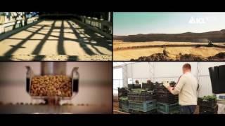 ICL SF for Ornamental Horticulture