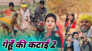 गेहूं की कटाई पार्ट 2 || घर में हो गया बटवारा || comedy muttan dada