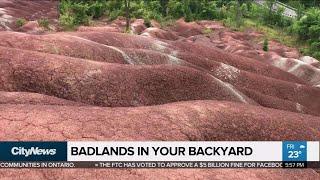 GTA staycations: visit the Caledon Badlands