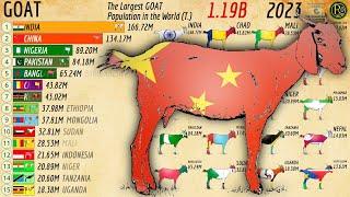 The Countries with the Largest Number of GOATS in the World