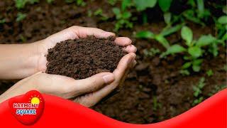 Soil Formation (Pedogenesis) - More Science on the Learning Videos Channel