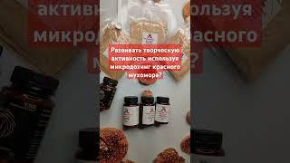 Развивать творческую активность используя микродозинг красного мухомора? #микродозингмухомора #мхм