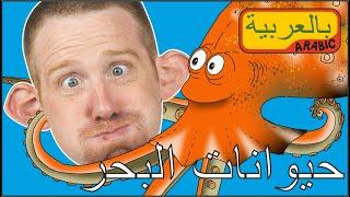 مخلوقات البحر للأطفال من قصص ستيف وماجي | تحدث اللغة العربية بطلاقة