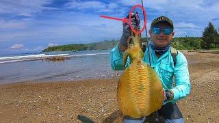 WAKTU YANG TEPAT MANCING CUMI-CUMI BESAR, MANCING PINGGIRAN PAKAI UMPAN AMPUH