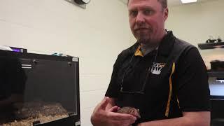 Take a quick tour of our Zoo Science facilities with professor Zach Loughman!