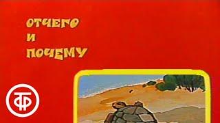 Отчего и почему. Самый-самый (1987)