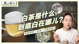 白茶是什么？怎样的茶才是真正的白茶呢？【张小笑TV】