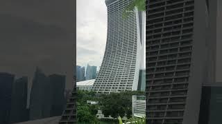 Singapore Gardens by the Bay #naiwiktv #shorts #singapore