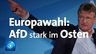 AfD in Brandenburg und Sachsen stärkste Kraft bei Europawahl