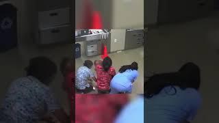 Laughing Paws  Hilarious Moments from the Veterinary Clinic (David Warner Tech)