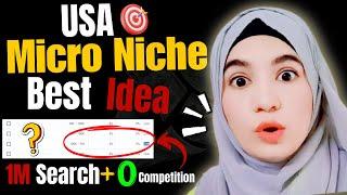 Micro Niche Ideas 2023 || International Blogging Niches for USA : Low Competition Niche