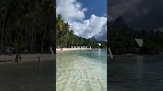 MOOREA - The Most beautiful Island on Earth️ #shorts #moorea #tahiti