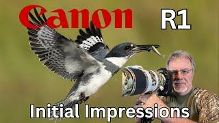 Canon R1 Initial Impressions - From a Bird Photographer